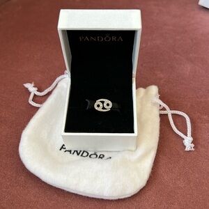 NEW Pandora Cancer Charm